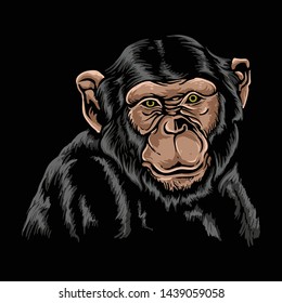 chimpanzee, monkey, ape graphic vector