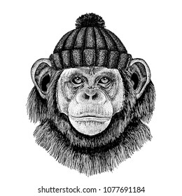 Chimpanzee Monkey Cool animal wearing knitted winter hat. Warm headdress beanie Christmas cap for tattoo, t-shirt, emblem, badge, logo, patch