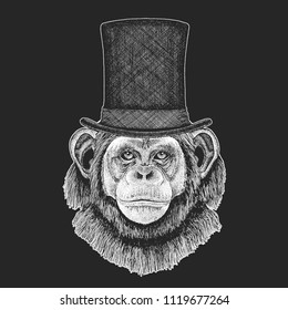 Chimpanzee, Monkey Top hat, cylinder. Hipster animal, gentleman. Classic headdress. Print for children t-shirt, kids clothing.