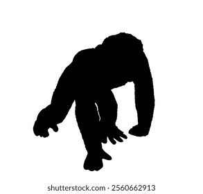 Chimpanzee monkey vector silhouette illustration isolated on white background. Monkey shape shadow symbol.