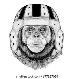 Chimpanzee Monkey Wild animal wearing rugby helmet Sport illustration