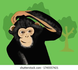 The chimpanzee (Pan troglodytes), also known as the common chimpanzee, robust chimpanzee, or simply "chimp", is a species of great ape native to the forest and savannah of tropical Africa