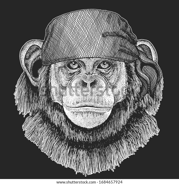Chimpanzee Portrait Monkey Face Ape Head Stock Vector (Royalty Free