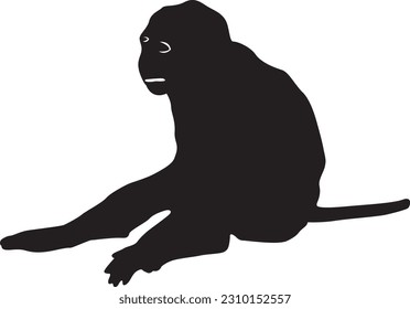 chimpanzee silhouettes on white background