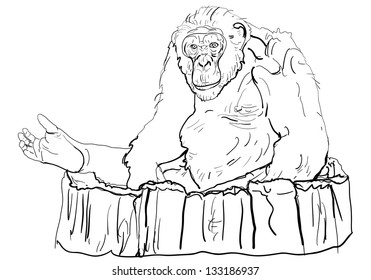 Chimpanzee sitting on big log in the zoo.