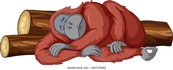 Chimpanzee sleeping on white background illustration