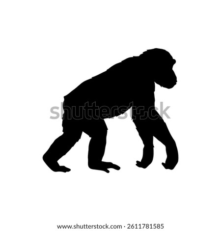 Chimpanzee walking silhouette icon vector flat design.