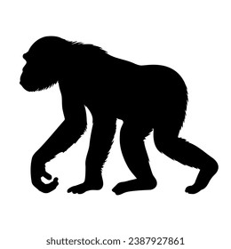 Chimpanzee walking silhouette. Vector illustration