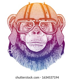 Chimpanzee wearing motorcycle helmet. Speed and road. Vintage style vector illustration. Face of dangerous wild animal. Portrait of biker. Realistic head of monkey.