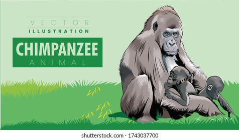 Chimpanzee-family mother and her two kids Vector