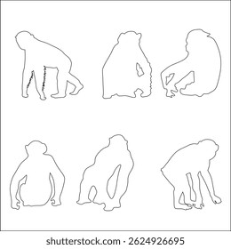 Chimpanzees are highly intelligent and can use tools to find food.

