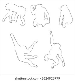 Chimpanzees live in complex social groups with clear hierarchies