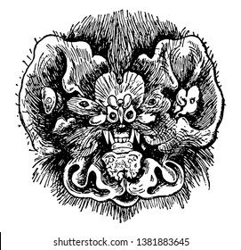 Chin Leafed Bat Head having the fore limb peculiarly modified so as to serve for flight, vintage line drawing or engraving illustration.