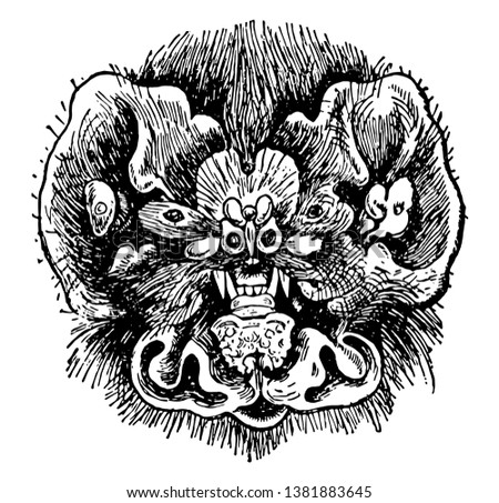 Chin Leafed Bat Head having the fore limb peculiarly modified so as to serve for flight, vintage line drawing or engraving illustration.