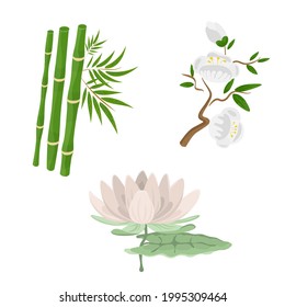 China, collection of chines traditional elements. Vector illustration bamboo, Sakura, flowers, lotus flower.