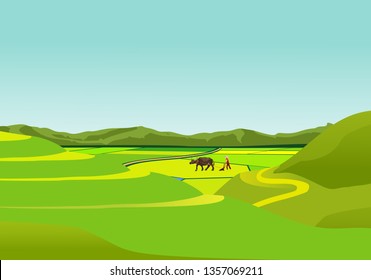 China countryside landscape, farmer with bull in the field vector