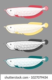 China Dragon Fish Sacred