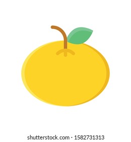 china new year related mandarin orange fruit vector in flat design