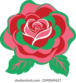 china rose colourful white background 