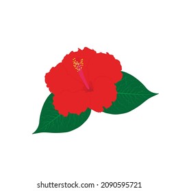 china rose design  vector  art.