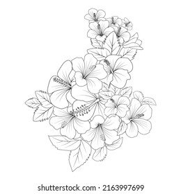 
china rose flower doodle coloring page illustration and line art stroke