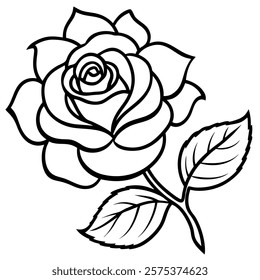 China Rose Line Art vector on White Background