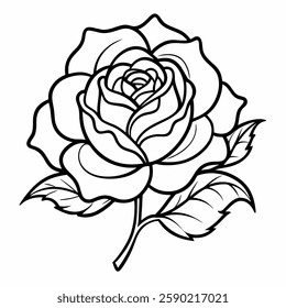 china rose line art vector on white background