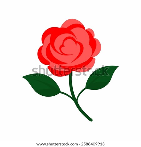 China rose on white background