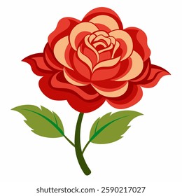 china rose vector art on white background colour