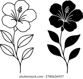 China rose vector illustration, outline and silhouette icon
