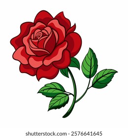 china rose vector on white background