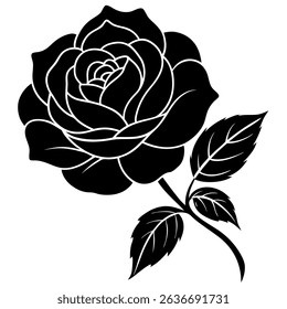 china rose  vector on white background