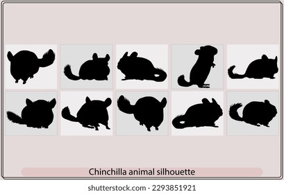 Silueta de animales Chinchilla Set, Silhouettes vectoriales de una chinchilla, Silhouette, ilustración, aislado, animal, chinchilla