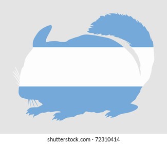 Chinchilla Argentina
