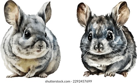 Chinchilla clipart, ilustración vectorial aislada.