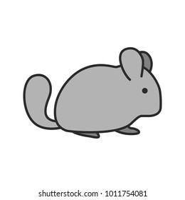 Chinchilla color icon. Isolated vector illustration