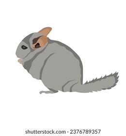 Ilustración personalizada de Chinchilla: Añade un toque de encanto a tu trabajo
