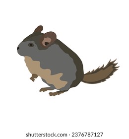 Chinchilla Custom Vector Design: Unique and Personalizable Clip Art for Chinchilla Lovers