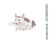 Chinchilla. Cute fluffy fat pet sitting. Domestic rodent. Short, smooth gray fur. A small funny character with big ears and a tail. Cartoon style. Flat vector illustration isolated on white background