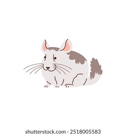 Chinchilla. Cute fluffy fat pet sitting. Domestic rodent. Short, smooth gray fur. A small funny character with big ears and a tail. Cartoon style. Flat vector illustration isolated on white background