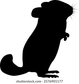 Chinchilla Digital EPs Vector graphics File