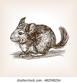 Chinchilla dog sketch style vector illustration. Old hand drawn engraving imitation.