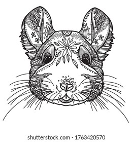 Chinchilla. Doodling coloring, meditative coloring. Patterns, dots, stripes. Cute animals.