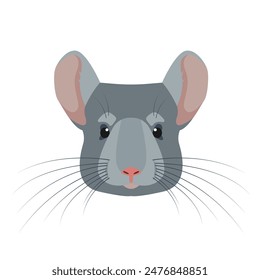 Vista frontal de Chinchilla o de la cabeza. Lindo icono gris de mascota esponjosa. Animal de roedor. Ilustración vectorial aislada sobre fondo blanco.