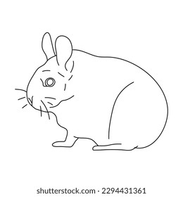 Chinchilla in line art drawing style. Vector illustration.