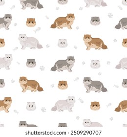 Chinchilla Persian Longhair Moderne Katze nahtloses Muster. Alle Fellfarben eingestellt.  Alle Katze Rassen Merkmale Infografik. Vektorgrafik