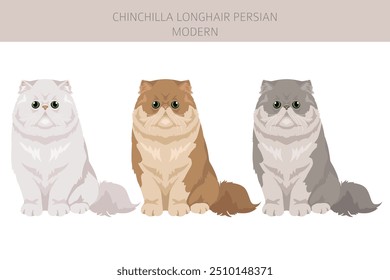 Chinchilla Persian Longhair Modern Cat clipart. All coat colors set.  All cat breeds characteristics infographic. Vector illustration