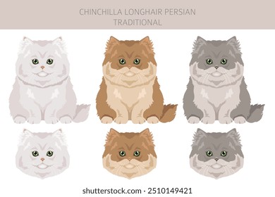 Chinchilla Persian Longhair Traditionelle Katze Clipart. Alle Fellfarben eingestellt.  Alle Katze Rassen Merkmale Infografik. Vektorgrafik