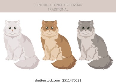 Chinchilla Persian Longhair Traditionelle Katze Clipart. Alle Fellfarben eingestellt.  Alle Katze Rassen Merkmale Infografik. Vektorgrafik