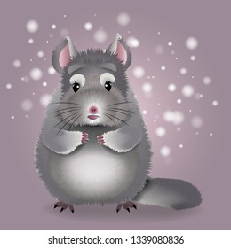 Chinchilla, pet, Mammal, fur, vector character, fauna, nature